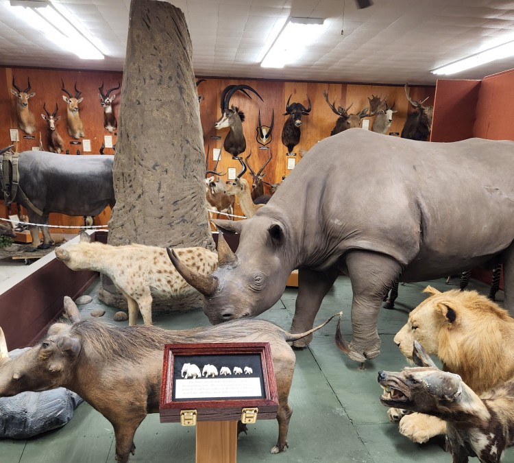 Museum of Wildlife, Science & Industry (Webster,&nbspSD)